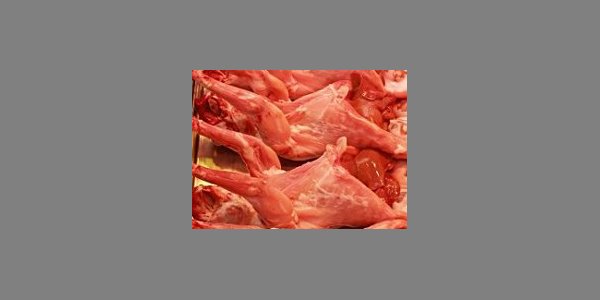 Image:Veggie Pride 2011