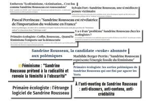 Montage « Rousseau dans les médias »